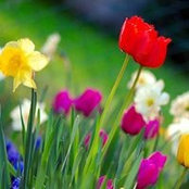 Colleen Peppler's photo