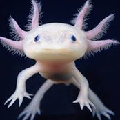 Scott Miller's photo