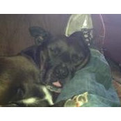 Clayton Perryman's photo