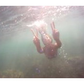 Paula Awad's photo