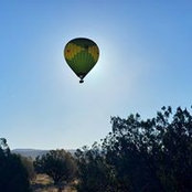 Brian Romolino's photo