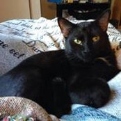 Misty Cederholm's photo