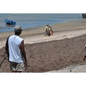 Luis Mongo's photo
