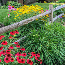 outdoor yard/landscaping