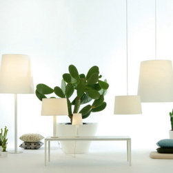 Lighting - Lighting