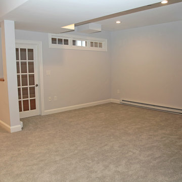 Belmont basement conversion