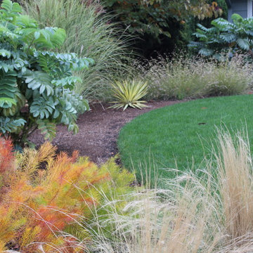 Marcia's front garden