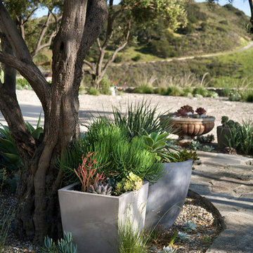 Surfer's Paradise, Hollister Ranch