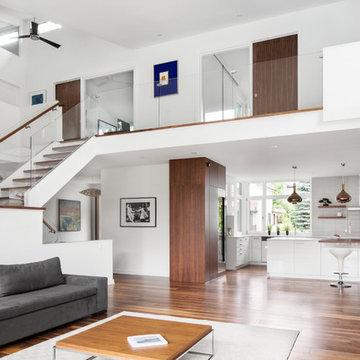 Modern Oasis