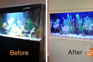 Transformed Fish Tank- Before and After