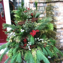 Plant arrangement ideas