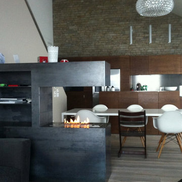 Factory Direct Unique And Special Bio Ethanol Fireplace Inserts