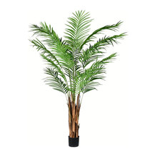 palms