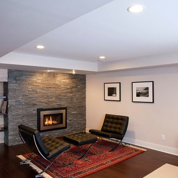 Edina Basement Remodel