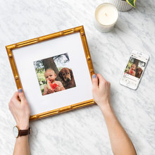 Bamboo Frame