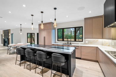 Example of a minimalist kitchen design in Chicago