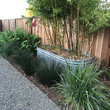 Hayward mid century