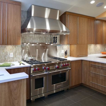 Modern kitchen cabinets Design Remodel