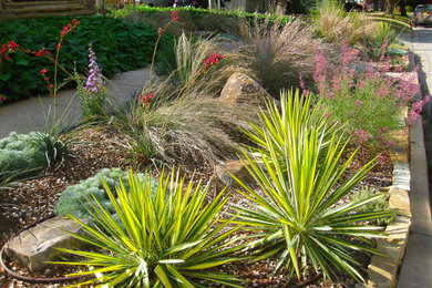 Inspiration for a mid-sized contemporary drought-tolerant and full sun front yard stone landscaping in Oklahoma City.