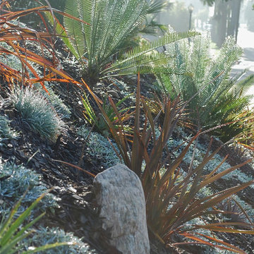 Front Garden Hill Planting adds Landscape Curb Appeal