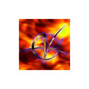 Alex Bender's photo