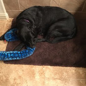 Kathy Tanner's photo
