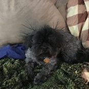 Rachel Guichard's photo