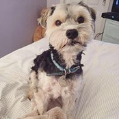 Michelle Dallas's photo