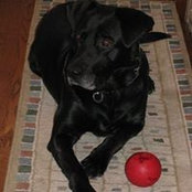 Molly McHugh Chaljub's photo