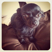 Nikki Medina's photo