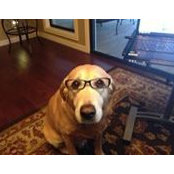 Christi Mahon's photo