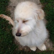 Tom Kuhl's photo