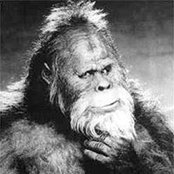 Sajsquatch Rudolf's photo