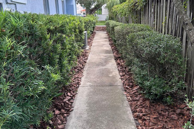 Photo of a traditional landscaping in Tampa.