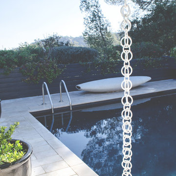 Hollywood Hills Backyard