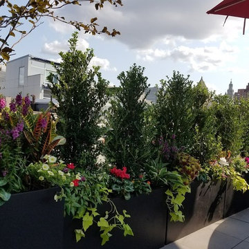 Manhattan NYC Penthouse Rooftop Garden project New York Plantings Gardene