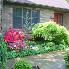 Landscape Ideas