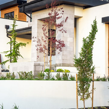 White Modern Retaining Wall