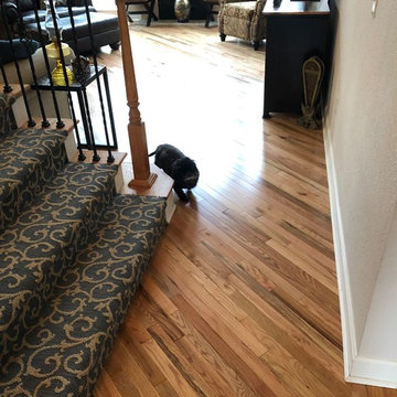 Pattern carpet, hardwood install