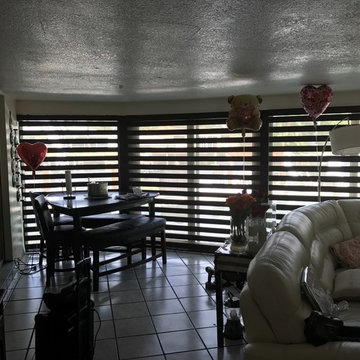 Zebra Illusion Blinds - Pompano Beach, Florida