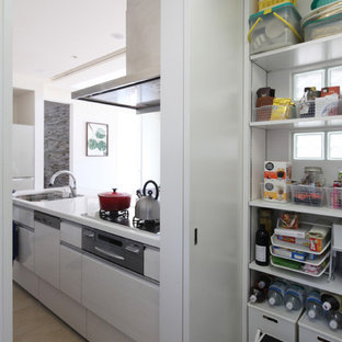 Modern kitchen pantry pictures - Example of a minimalist single-wall kitchen pantry design in Osaka with an undermount sink, flat-panel cabinets, white cabinets, stainless steel appliances and a peninsula