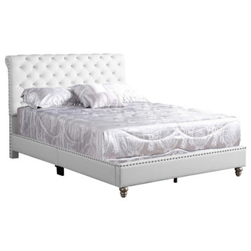 Maxx White Tufted Upholstered Queen Panel Bed