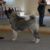 Елена Лобова's photo