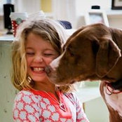 Brad Rodgers's photo
