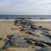 Lauren Cosgriff's photo