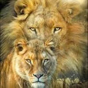Liz Scott's photo