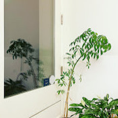 Dogbird Studio