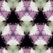 Danny Lous foto