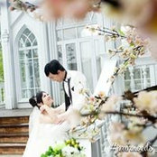 Raquel Peh's photo