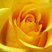 Megan Bucko's photo